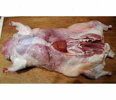 Мясо бобра тушка