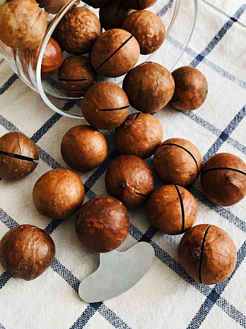 Фото Макадамия в скорлупе калибр 22-25