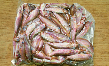 Барабуля черноморская 11+ Фото Барабуля черноморская 11+